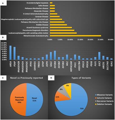 The Leukodystrophy Spectrum in Saudi Arabia: Epidemiological, Clinical, Radiological, and Genetic Data